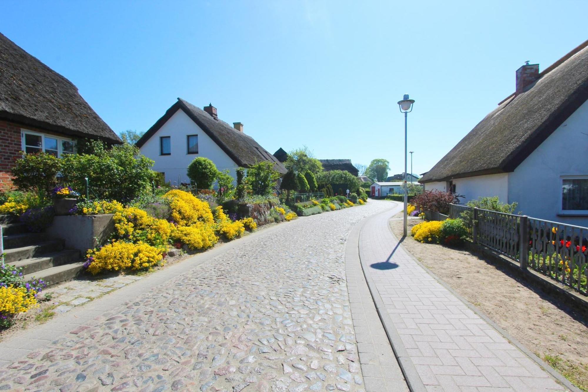 Ferienhaus Distelfink Fewo 04 Terrasse, Meerblick Groß Zicker Eksteriør bilde